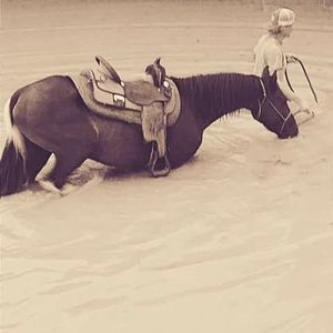 Meet your Posher, Willie